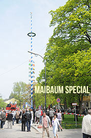 Maibaum Special (©Foto:Martin Schmitz)